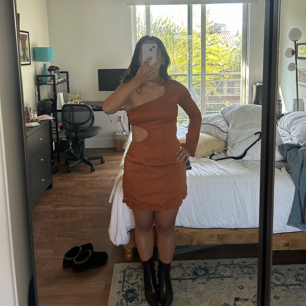 Cult Gaia One-Shoulder Brown Dress